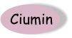 Ciumin