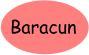 Baracun