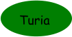 Turia