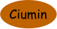 Ciumin